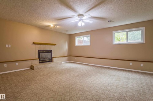 3835 47 Street Nw, Edmonton, AB - Indoor Photo Showing Other Room With Fireplace