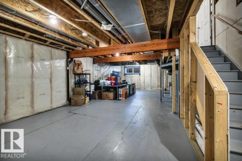 4314 Prowse Link, Edmonton, AB - Indoor Photo Showing Basement