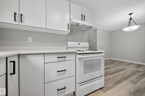 10313 150 Street, Edmonton, AB - Indoor Photo Showing Kitchen