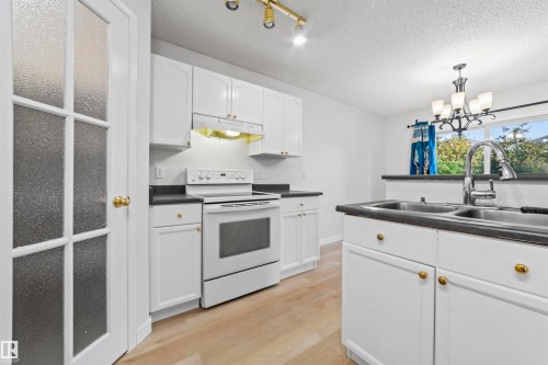 3231 30 Ave Nw, Edmonton, AB - Indoor Photo Showing Kitchen With Double Sink