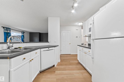 3231 30 Ave Nw, Edmonton, AB - Indoor Photo Showing Kitchen With Double Sink