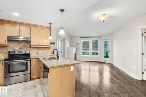 507 10142 111 Street, Edmonton, AB - Indoor Photo Showing Kitchen With Double Sink