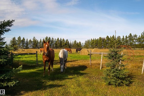48503 Range Road 263, Rural Leduc County, AB - Outdoor With View