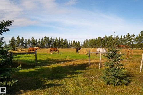 48503 Range Road 263, Rural Leduc County, AB - Outdoor With View