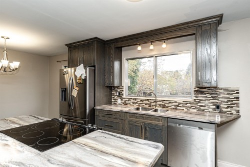 10619 149 Street, Edmonton, AB - Indoor Photo Showing Kitchen With Stainless Steel Kitchen With Double Sink