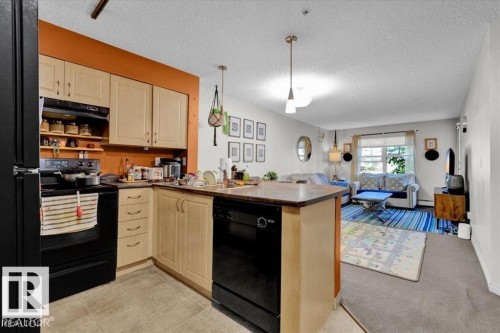 114 11453 Ellerslie Road, Edmonton, AB - Indoor Photo Showing Kitchen With Double Sink