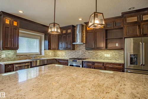 10842 175A Avenue, Edmonton, AB - Indoor Photo Showing Kitchen With Upgraded Kitchen