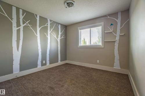 10842 175A Avenue, Edmonton, AB - Indoor Photo Showing Other Room