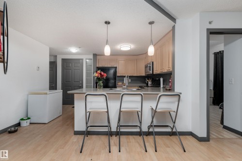 101 6220 134 Avenue, Edmonton, AB - Indoor Photo Showing Kitchen