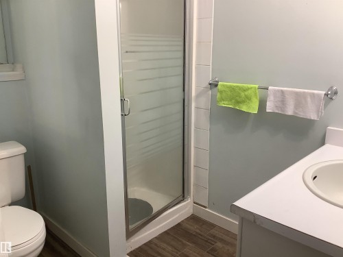 15704 61 Street, Edmonton, AB - Indoor Photo Showing Bathroom