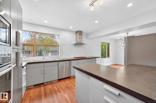 8860 93 Street, Edmonton, AB - Indoor Photo Showing Kitchen With Double Sink