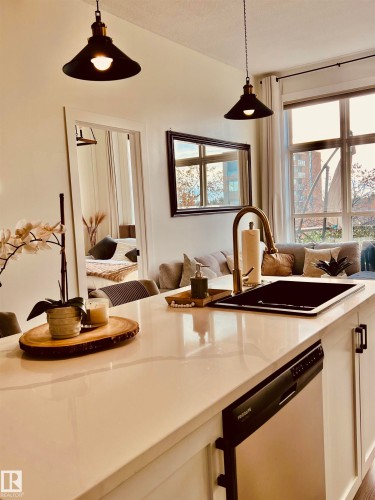 443 10403 122 Street, Edmonton, AB - Indoor Photo Showing Kitchen With Double Sink