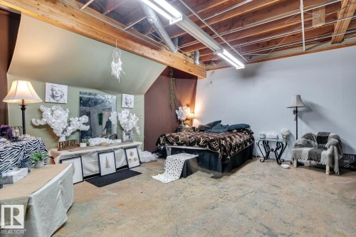 12116 48 Street, Edmonton, AB - Indoor Photo Showing Basement