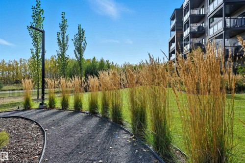 619 7463 May Common, Edmonton, AB - Outdoor