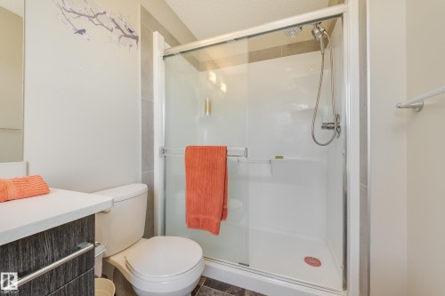31 2803 James Mowatt Trail, Edmonton, AB - Indoor Photo Showing Bathroom