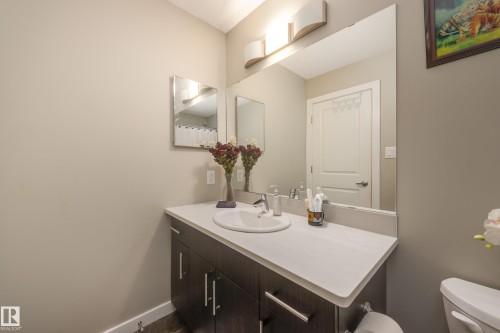 31 2803 James Mowatt Trail, Edmonton, AB - Indoor Photo Showing Bathroom