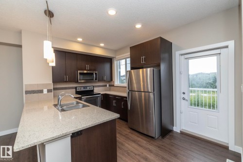 22 13139 205 Street, Edmonton, AB - Indoor Photo Showing Kitchen With Double Sink