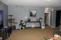 Living area featuring light carpet and a textured ceiling - 