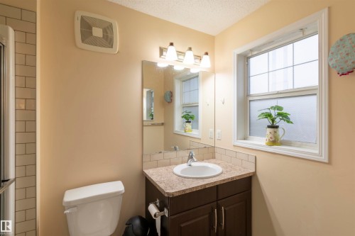3019 Arthurs Crescent, Edmonton, AB - Indoor Photo Showing Bathroom