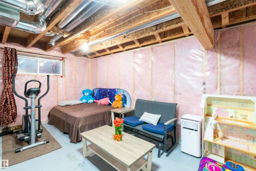 3019 Arthurs Crescent, Edmonton, AB - Indoor Photo Showing Basement