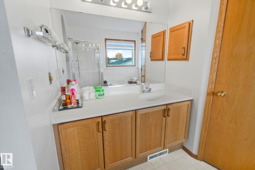 1238 Joyce Crescent Nw, Edmonton, AB - Indoor Photo Showing Bathroom