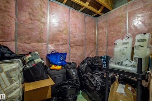 2407 Casey Link, Edmonton, AB - Indoor Photo Showing Basement