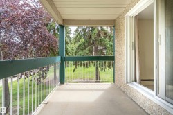 203 1628 48 Street  Edmonton, AB T6L 5P2