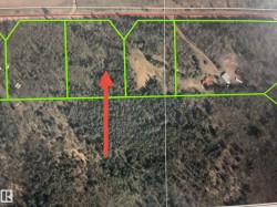 3 Pleasant Valley Acres  Rural Wetaskiwin County, AB T0C 2V0