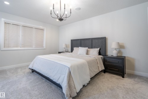 20 10550 Ellerslie Road, Edmonton, AB - Indoor Photo Showing Bedroom