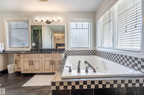 20 10550 Ellerslie Road, Edmonton, AB - Indoor Photo Showing Bathroom