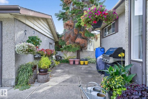 7708 98A Avenue Nw, Edmonton, AB - Outdoor