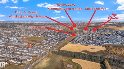 19 1703 16 Avenue, Edmonton, AB - Outdoor With View