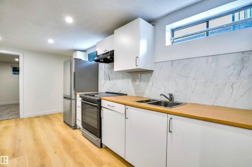 3806 85 Street, Edmonton, AB - Indoor Photo Showing Kitchen With Double Sink