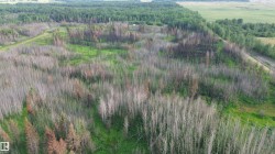 #2 TWP 630 RR 262  Rural Westlock County, AB T0G 0S0