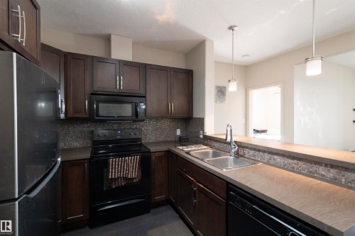 335 308 Ambleside Link, Edmonton, AB - Indoor Photo Showing Kitchen With Double Sink