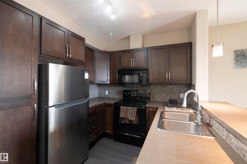 335 308 Ambleside Link, Edmonton, AB - Indoor Photo Showing Kitchen With Double Sink
