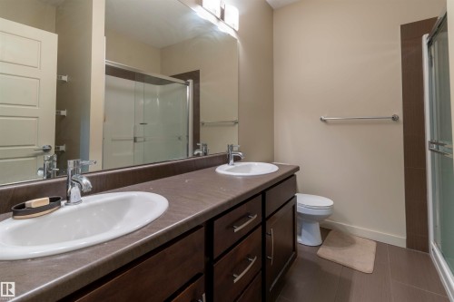 335 308 Ambleside Link, Edmonton, AB - Indoor Photo Showing Bathroom