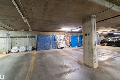 335 308 Ambleside Link, Edmonton, AB - Indoor Photo Showing Garage