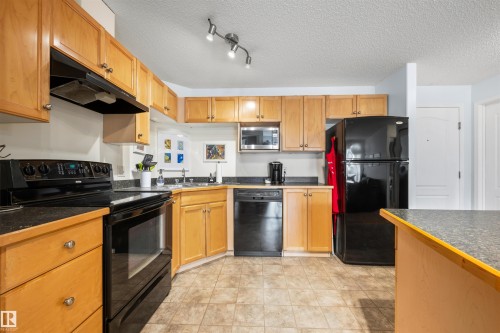 228 5350 199 Street, Edmonton, AB - Indoor Photo Showing Kitchen With Double Sink