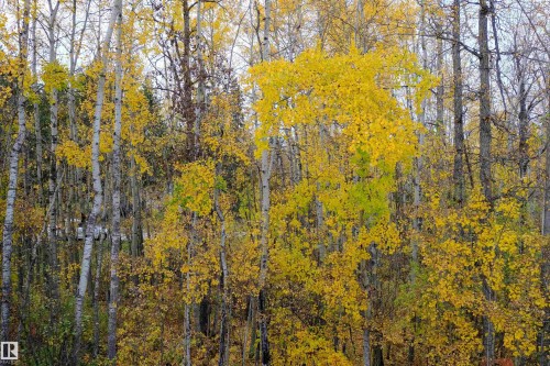 23 4224 Twp Road 545, Rural Lac Ste. Anne County, AB - Outdoor With View