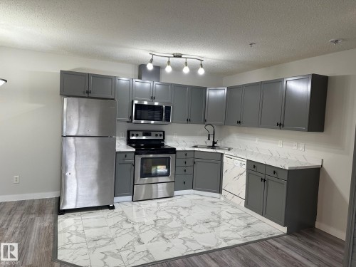 115 2098 Blackmud Creek Drive Sw, Edmonton, AB - Indoor Photo Showing Kitchen With Stainless Steel Kitchen