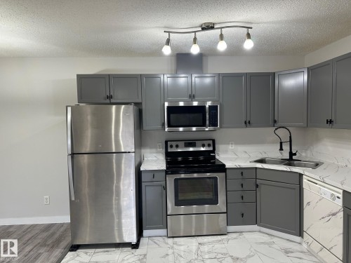 115 2098 Blackmud Creek Drive Sw, Edmonton, AB - Indoor Photo Showing Kitchen With Stainless Steel Kitchen With Double Sink