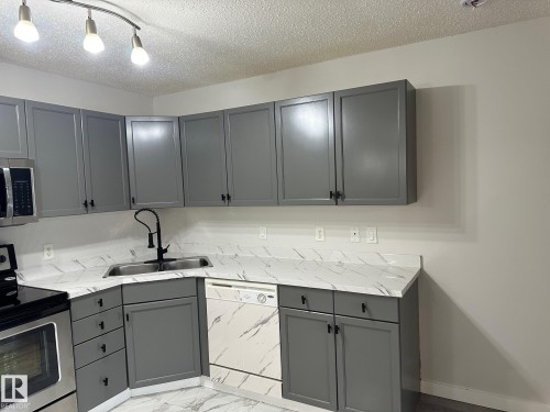 115 2098 Blackmud Creek Drive Sw, Edmonton, AB - Indoor Photo Showing Kitchen With Double Sink