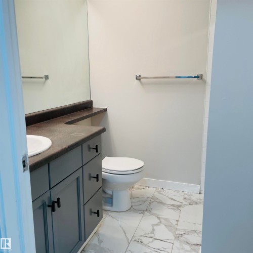 115 2098 Blackmud Creek Drive Sw, Edmonton, AB - Indoor Photo Showing Bathroom