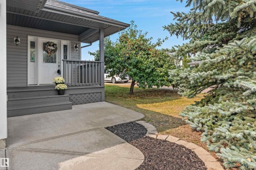 15216 49 Street, Edmonton, AB - Outdoor With Deck Patio Veranda