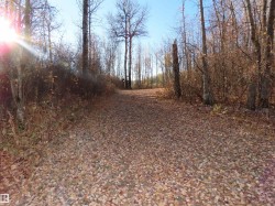 54425 Ste Anne Trail  Rural Lac Ste. Anne County, AB T0E 1V0