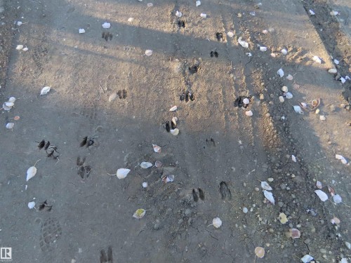 54425 Ste Anne Trail, Rural Lac Ste. Anne County, AB 