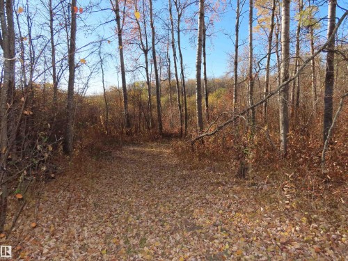 54425 Ste Anne Trail, Rural Lac Ste. Anne County, AB 