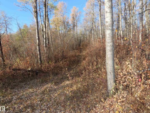 54425 Ste Anne Trail, Rural Lac Ste. Anne County, AB 