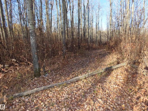 54425 Ste Anne Trail, Rural Lac Ste. Anne County, AB 